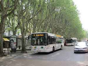  Irisbus Citelis 12 n°2040 - Elephants