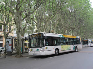  Irisbus Citelis 12 n°2039 - Elephants