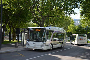  Irisbus Citelis 12 n°567 - Turin
