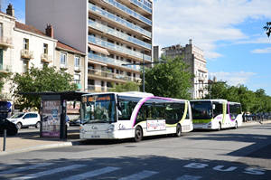  Irisbus Citelis 12 n°135 + Iveco Bus Crossway n°8254