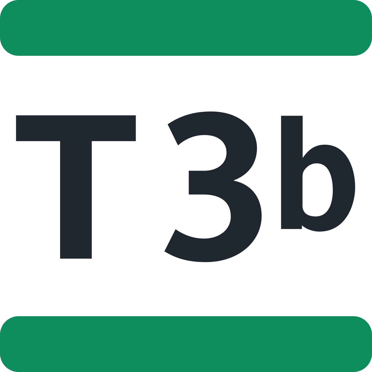 Ligne T3b